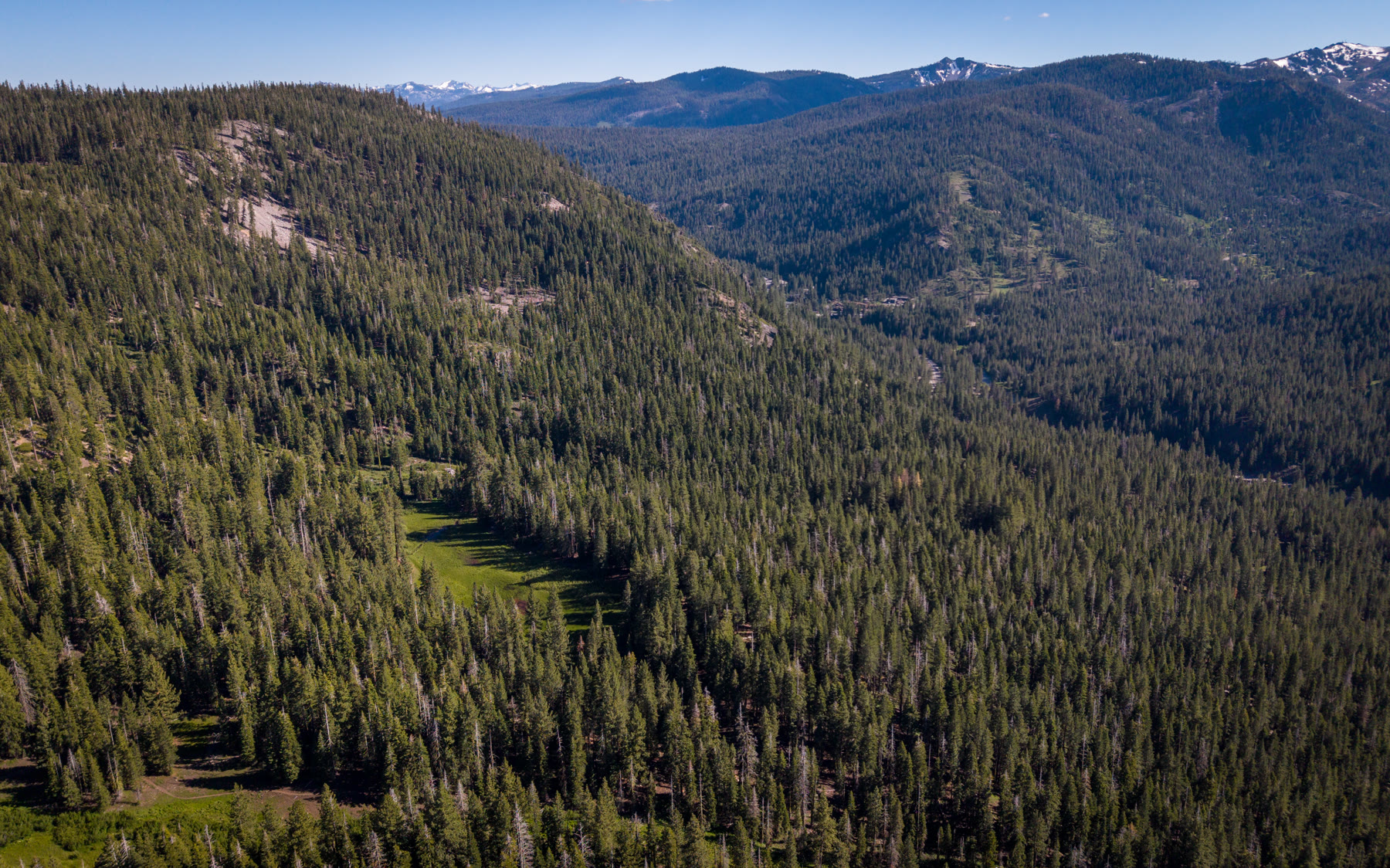 Forested ridge and hidden meadow